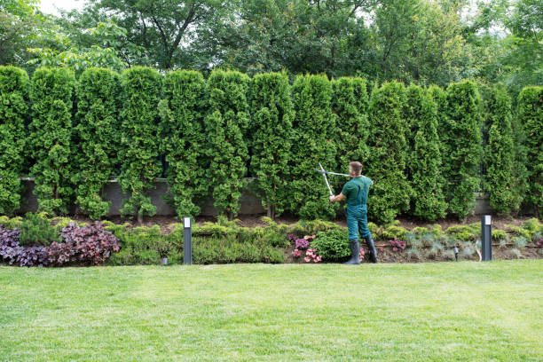 Best Emergency Tree Service  in Fairless Hills, PA